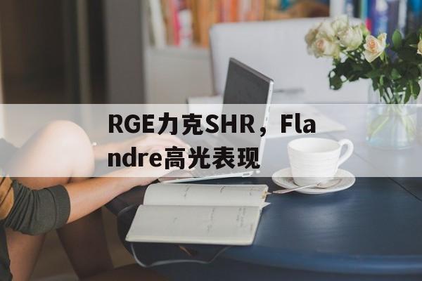 开云官方app入口-关于RGE力克SHR，Flandre高光表现的信息