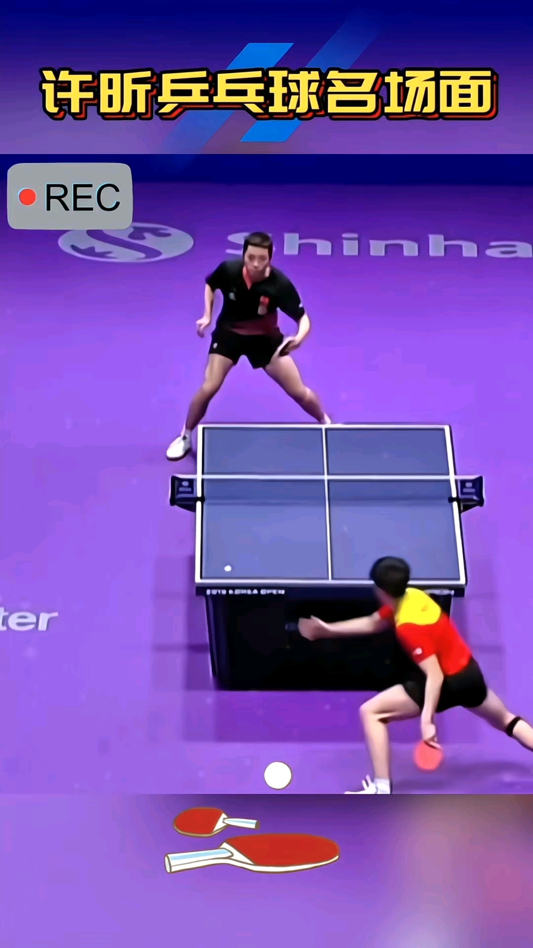 德国乒乓球队绝地反击日本乒乓球队，许昕制霸全场