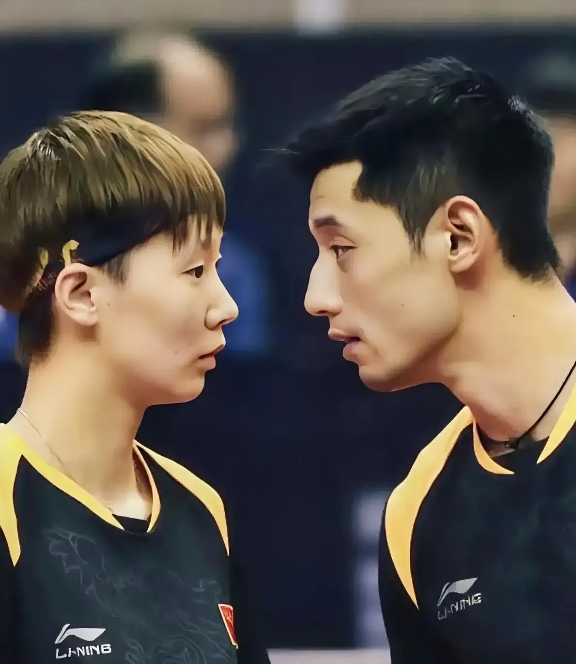 开云体育入口-包含韩国乒乓球队爆冷法国乒乓球队，张继科统治全场的词条