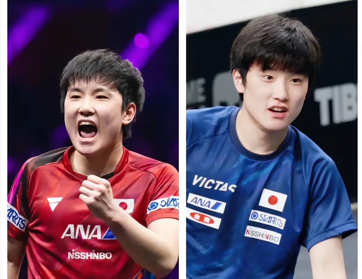 开云APP-德国队翻盘日本队，张本智和状态火热的简单介绍