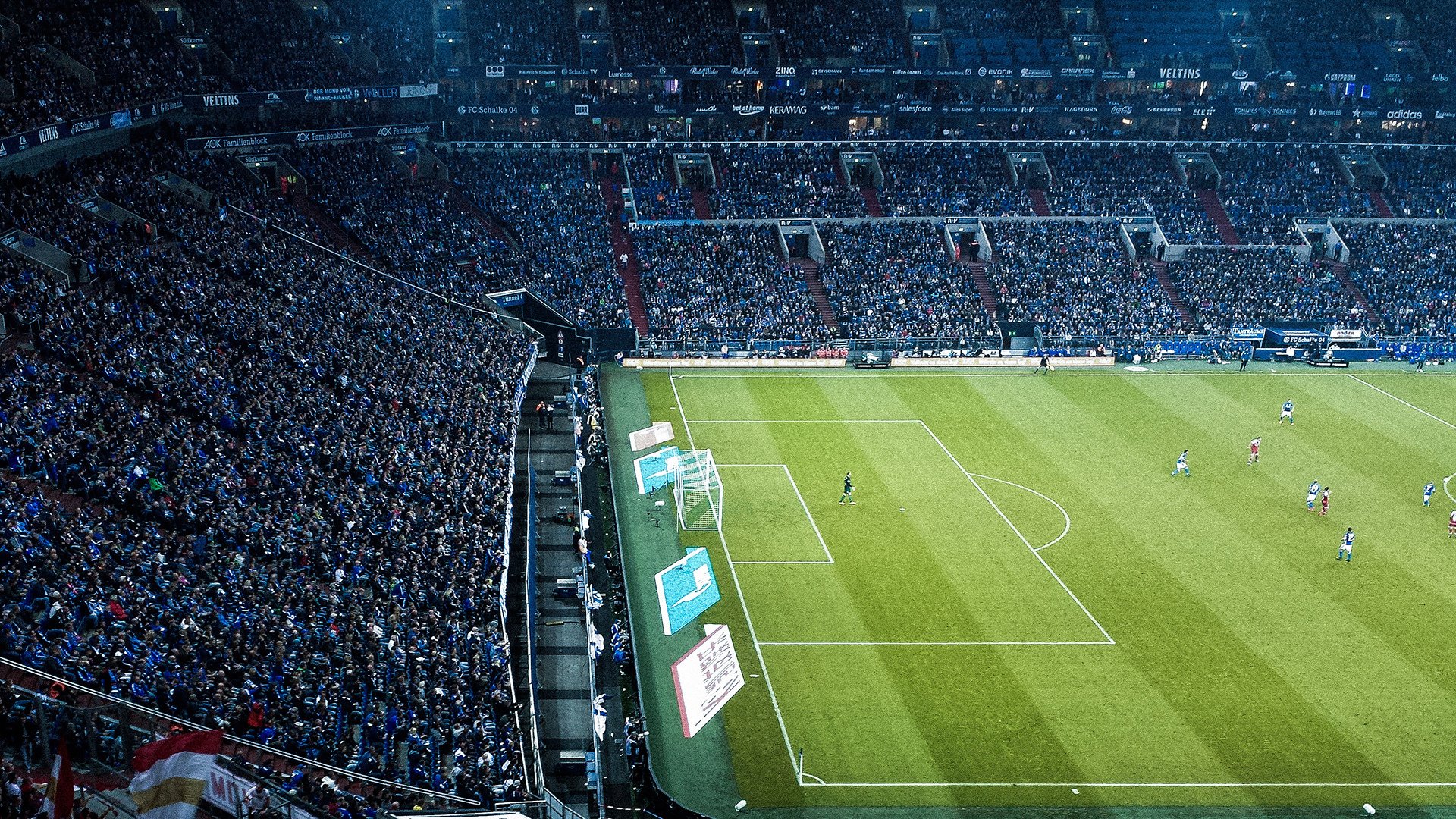 绿茵鏖战与乒乓烽火，葡萄牙的坚韧与樊振东的烈焰