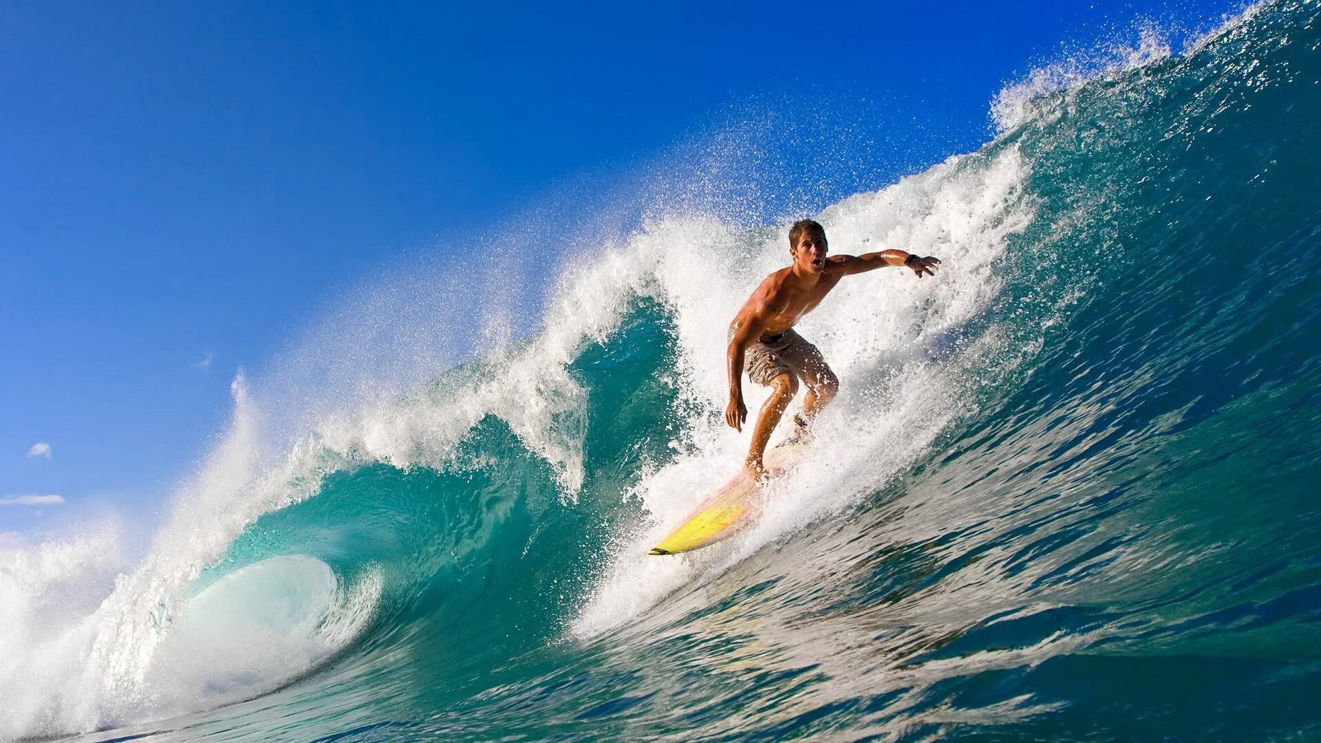 开云体育在线-鹈鹕绝地反击,霍勒迪一鸣惊人,逆转广州队的战术与精神双重胜利